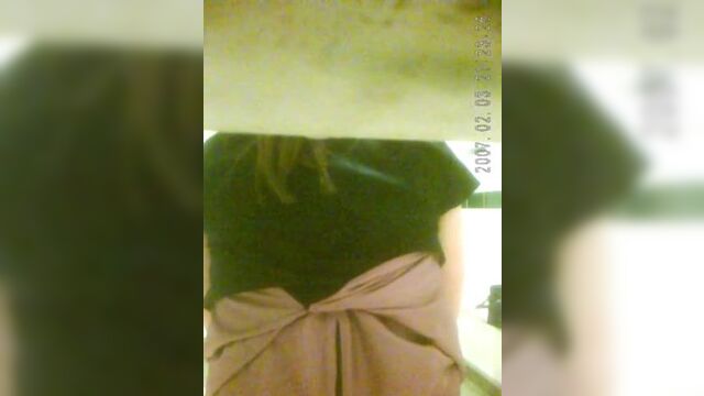 Toilet Voyeur 2