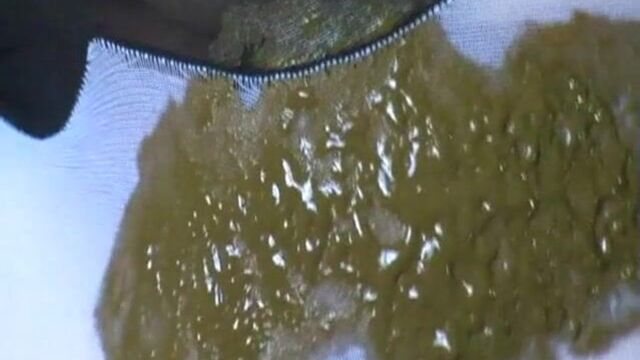pantyhoes - scat porn at ThisVid tube