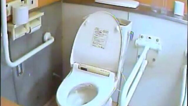 Western Toilet Voyeur
