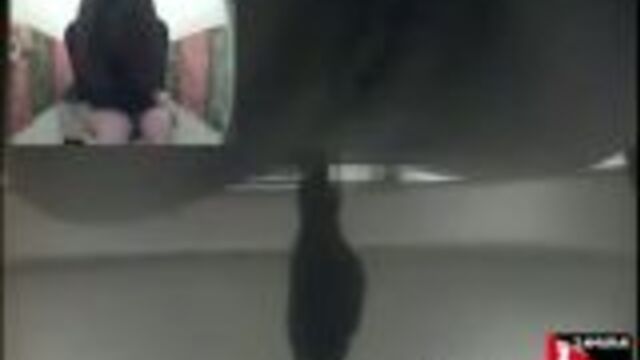 Hidden Cam Captures Pooping Japanese