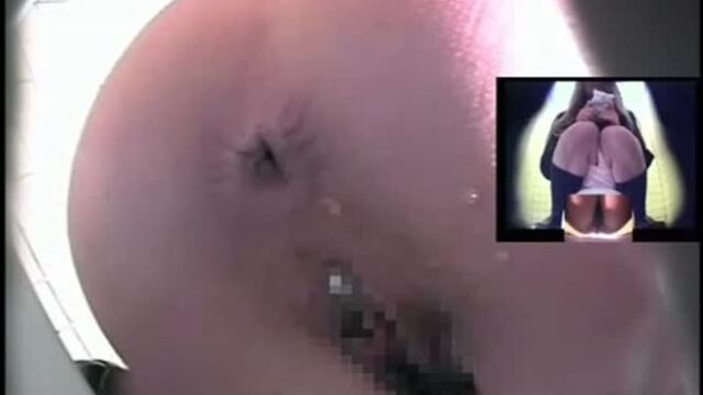 Japanese Toilet Cam