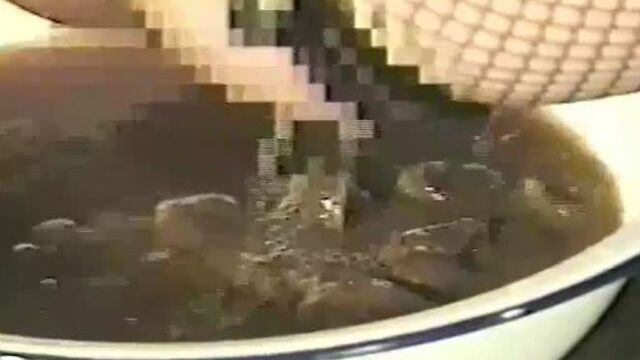 Best japanese Scat