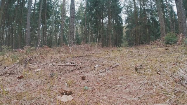 Mia's Friend - Solo shit in woods