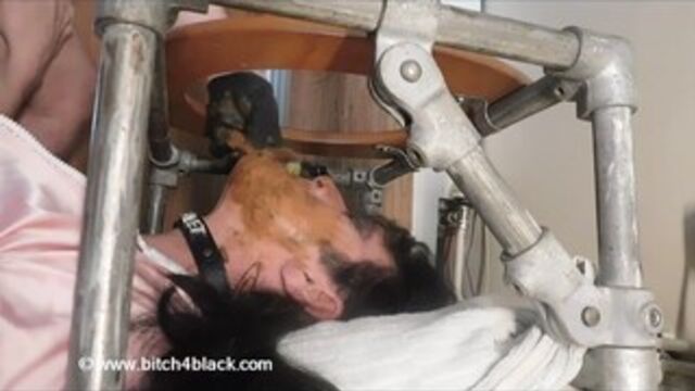 London tranny eating shit and smeared by an Alpha  - Shemale Scat