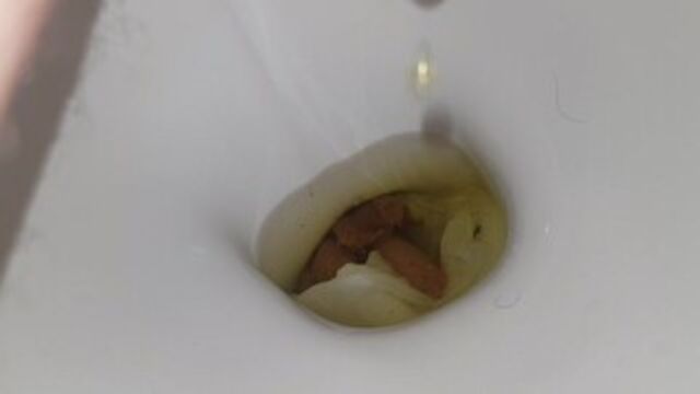 ALMOST POO AND WEE MYSELF but made it to toilet!
