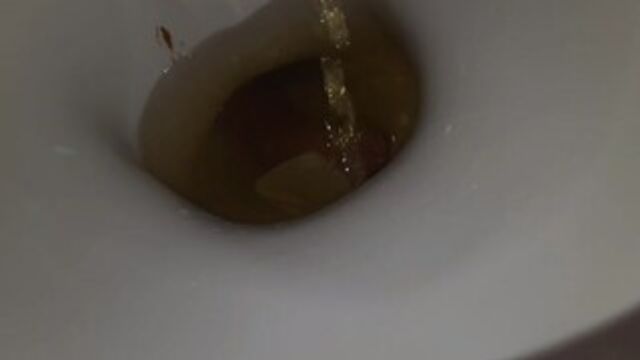 King's Poopy Adventure! ????