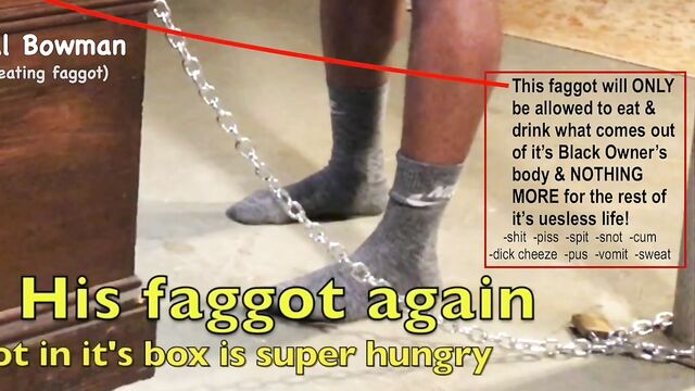 Black Man Feeds Shit to his Fag in a Box
